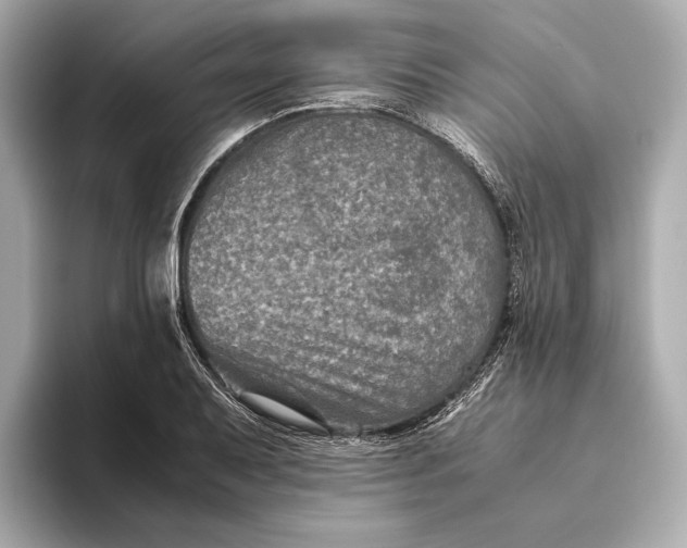 X0000093491079200711020947