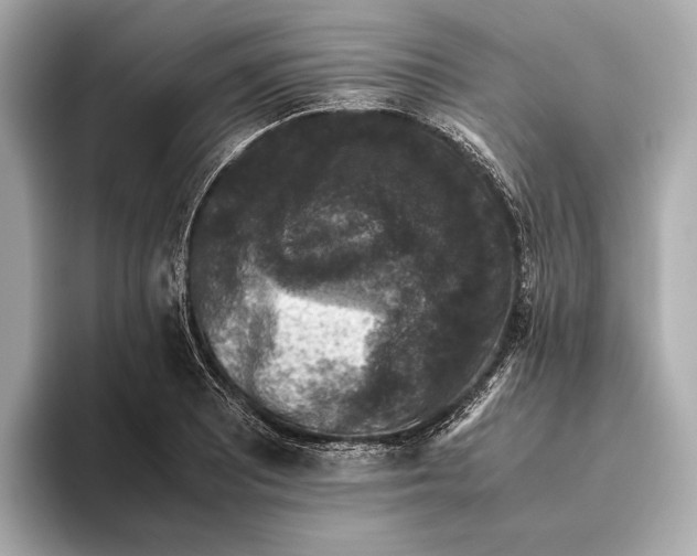 X0000093491081200711020947