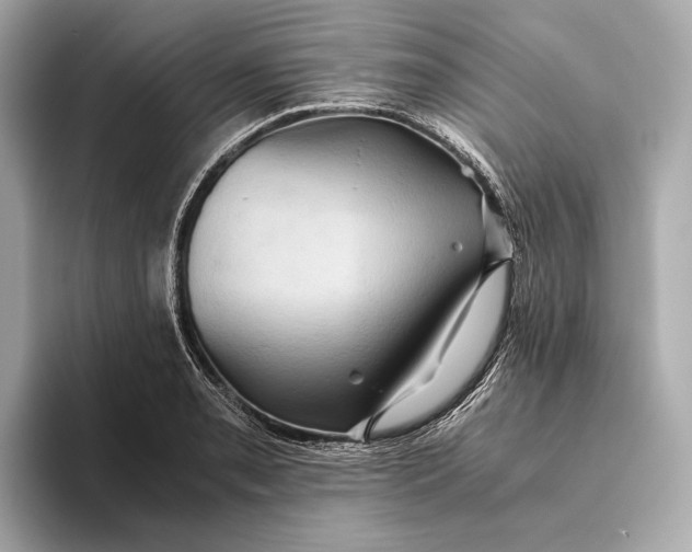 X0000093491085200711020947