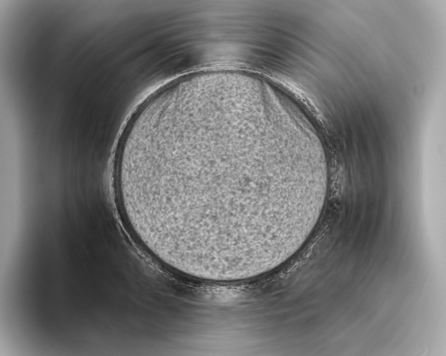 X0000093491086200711020947