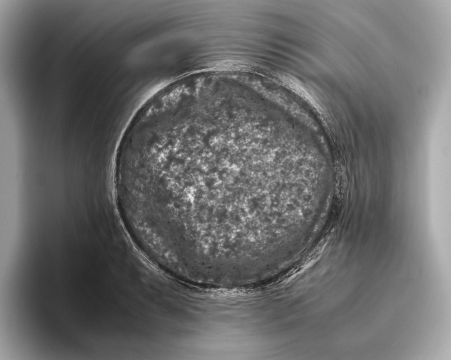 X0000093491087200711020947