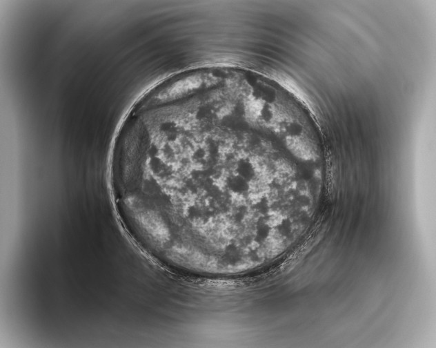 X0000093491088200711020947