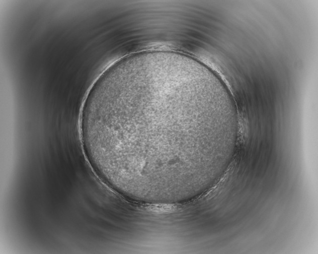 X0000093491090200711020947