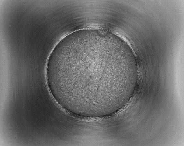 X0000093491091200711020947