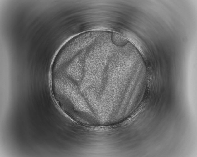 X0000093491092200711020947