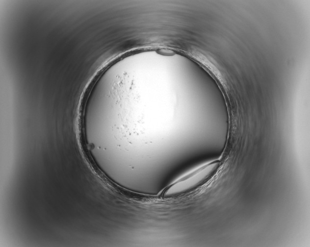 X0000093491093200711020947