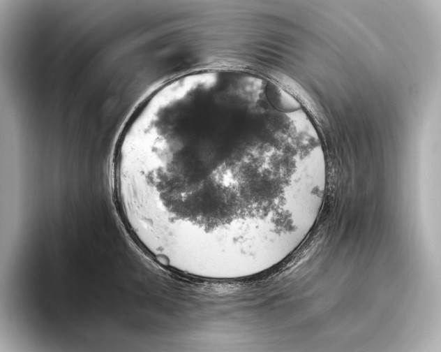 X0000093491095200711020947