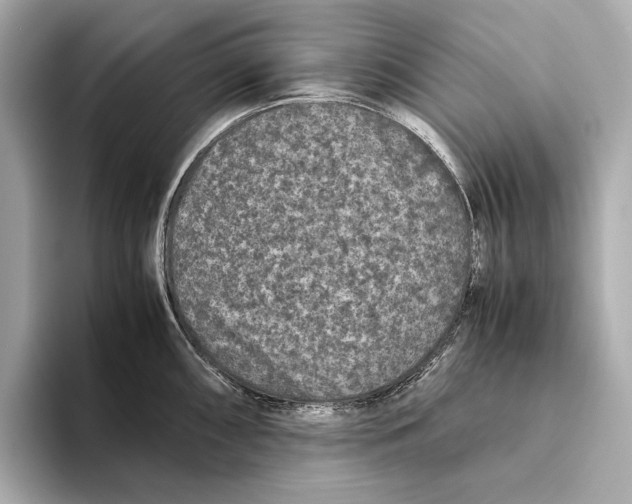 X0000093491098200711020947