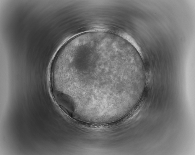 X0000093491099200711020947