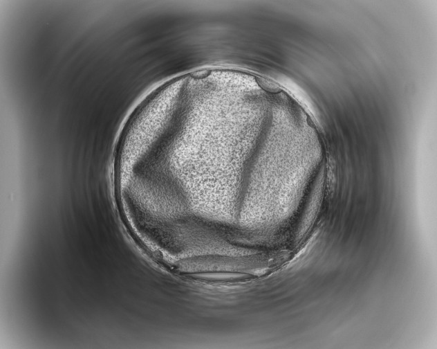 X0000093491100200711020947