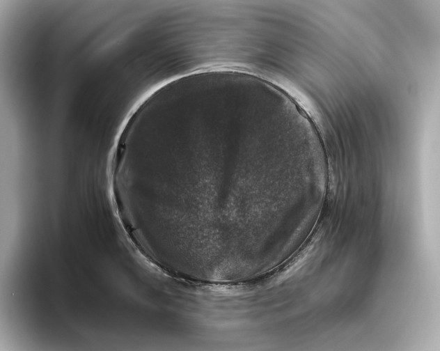 X0000093491102200711020947