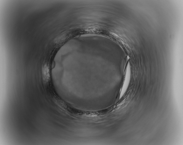 X0000093491106200711020946