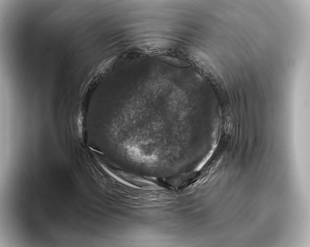 X0000093491108200711020946