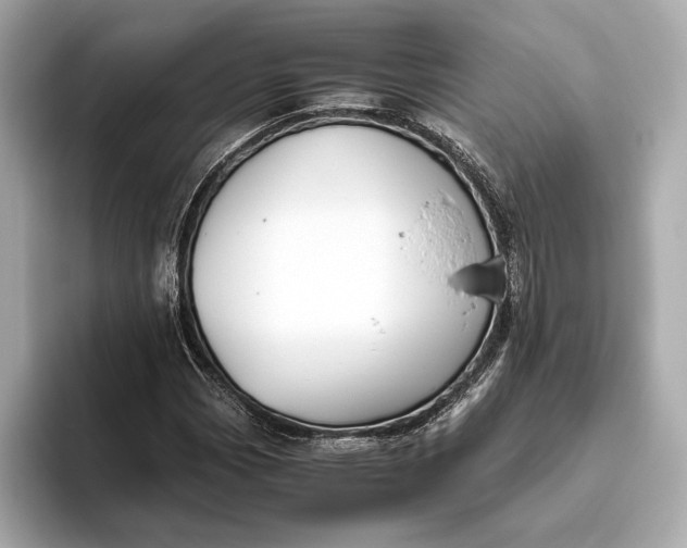 X0000093491113200711020946