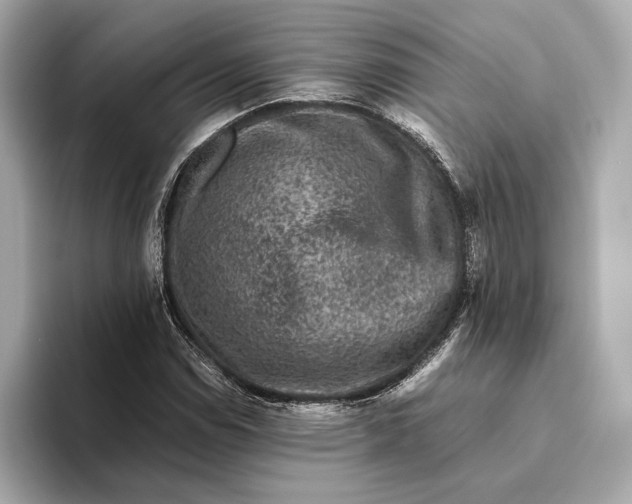 X0000093491114200711020946