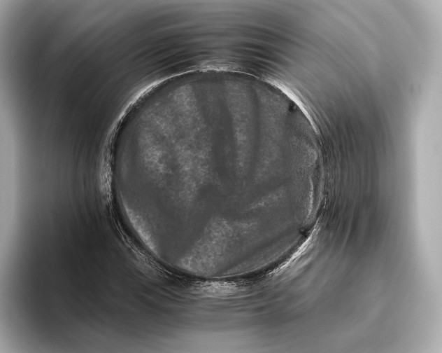 X0000093491115200711020946