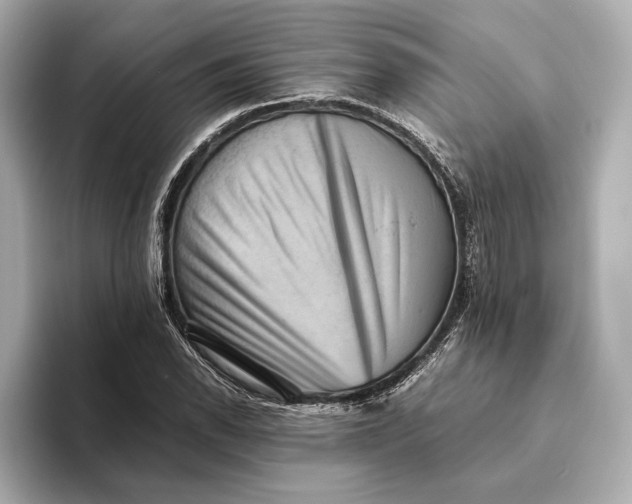 X0000093491118200711020946