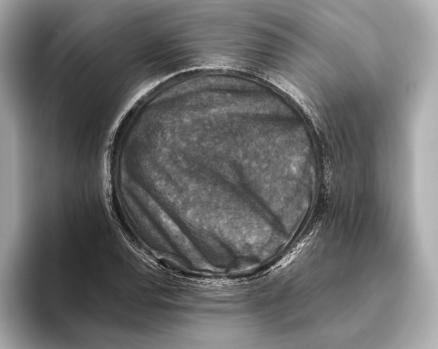 X0000093491120200711020946