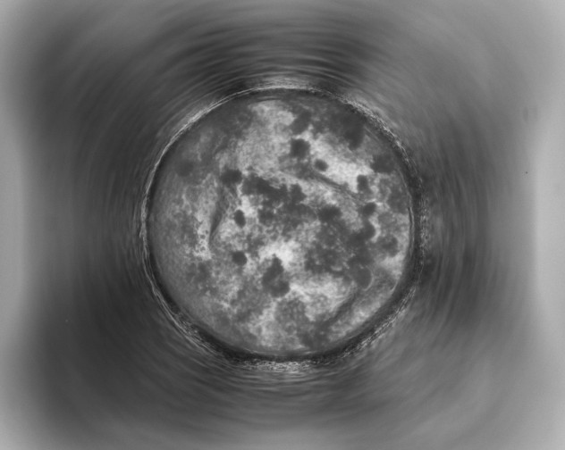 X0000093491121200711020946