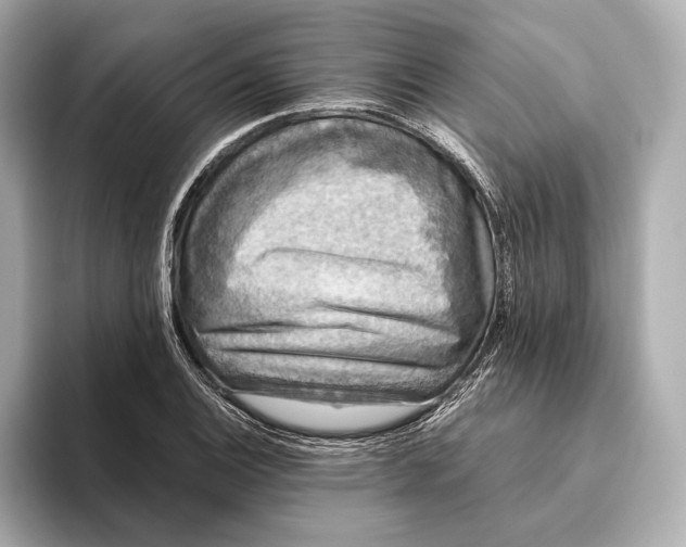 X0000093491124200711020946