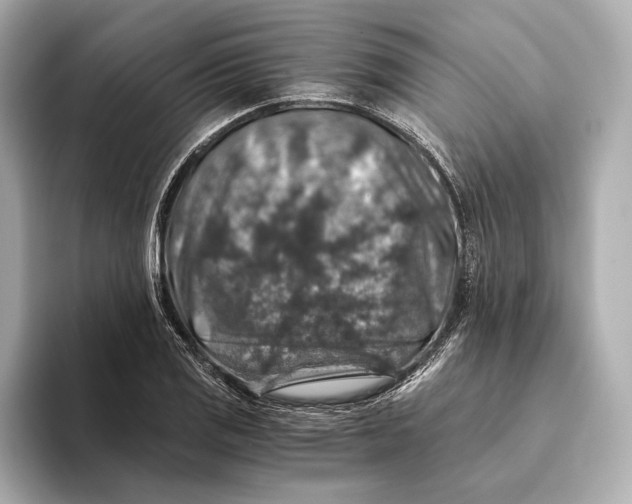 X0000093491125200711020946