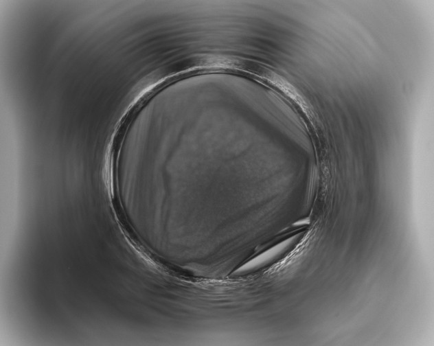 X0000093491127200711020946