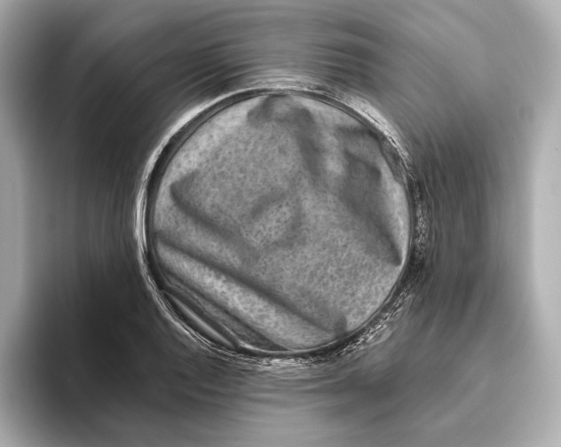 X0000093491128200711020946