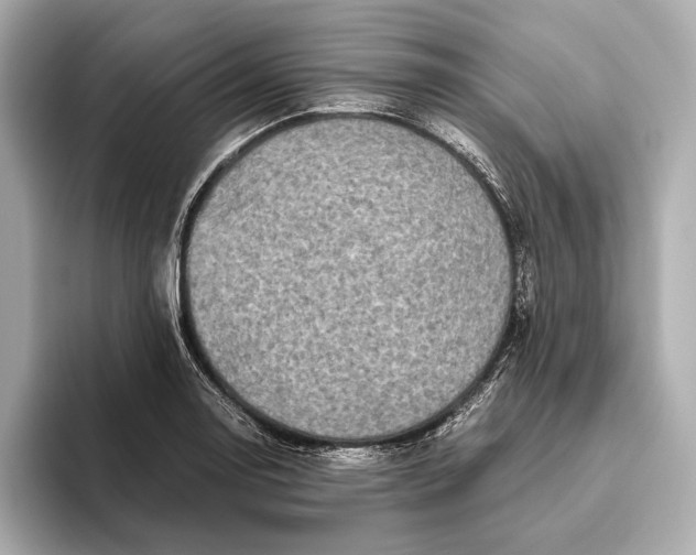 X0000093491130200711020946