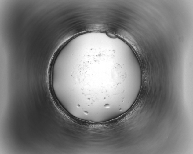 X0000093491135200711020946