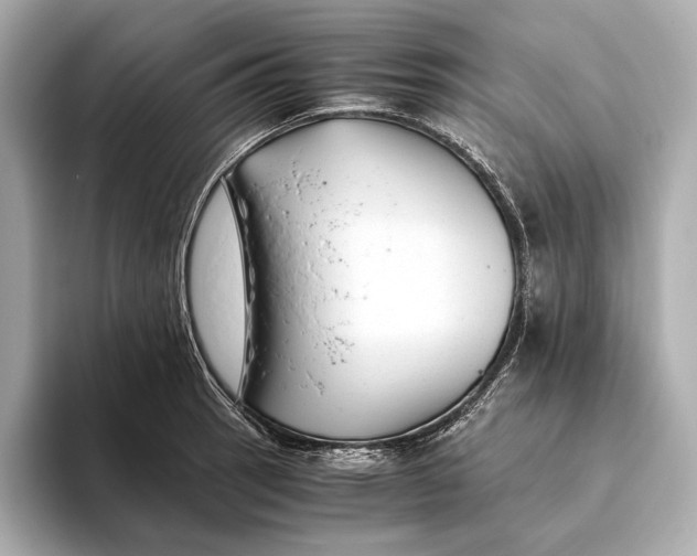 X0000093491137200711020946