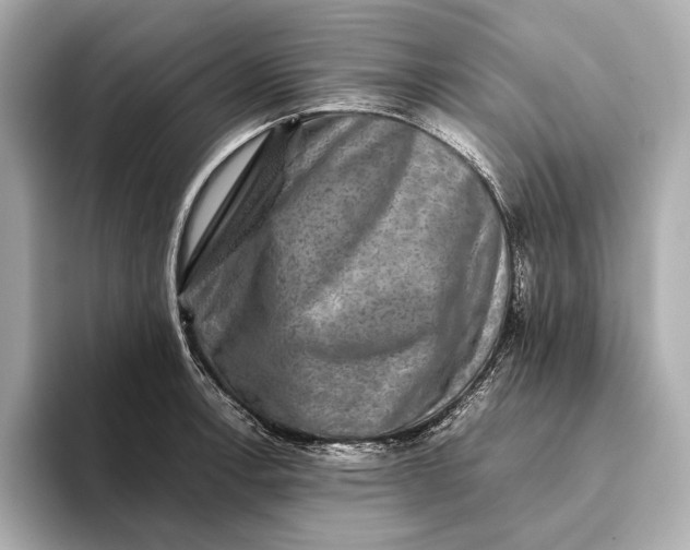 X0000093491138200711020947