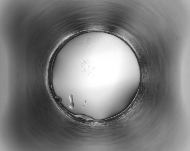 X0000093491139200711020947