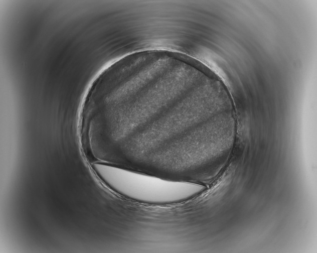 X0000093491144200711020947