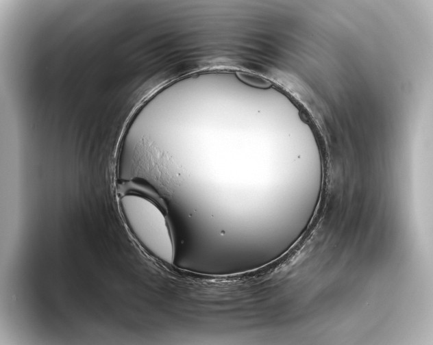 X0000093491145200711020947