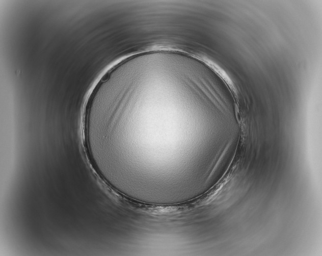 X0000093491148200711020947