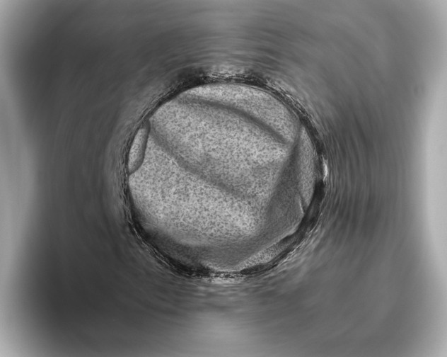 X0000093491153200711020946