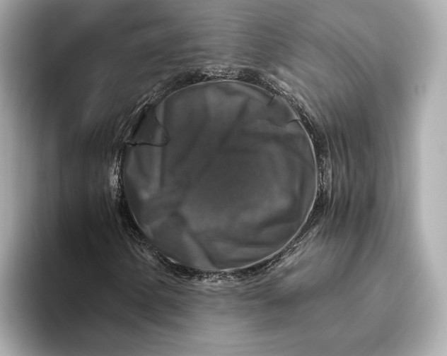 X0000093491154200711020946