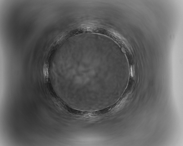 X0000093491155200711020946