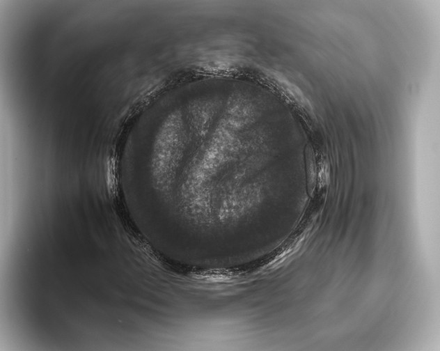 X0000093491156200711020946