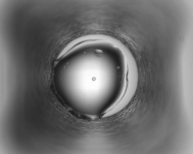 X0000093491157200711020946