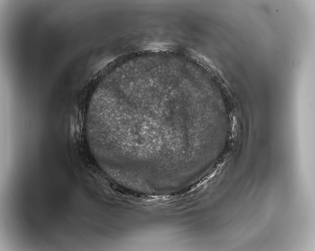 X0000093491158200711020946