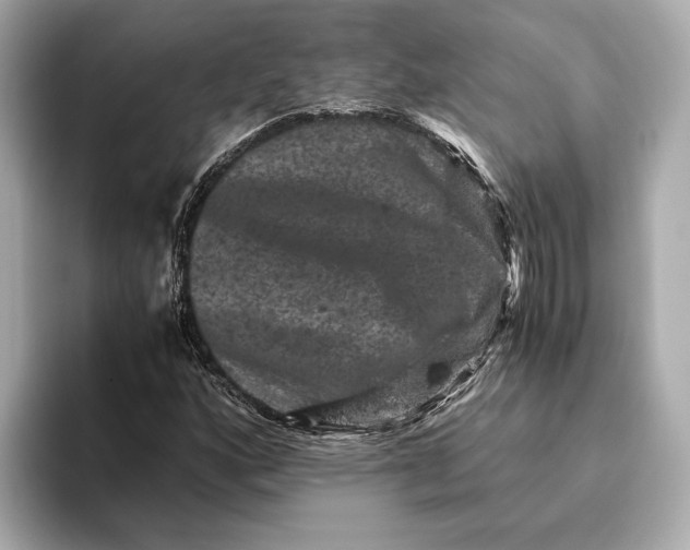 X0000093491160200711020946