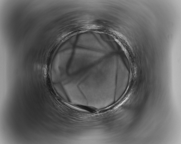 X0000093491161200711020946