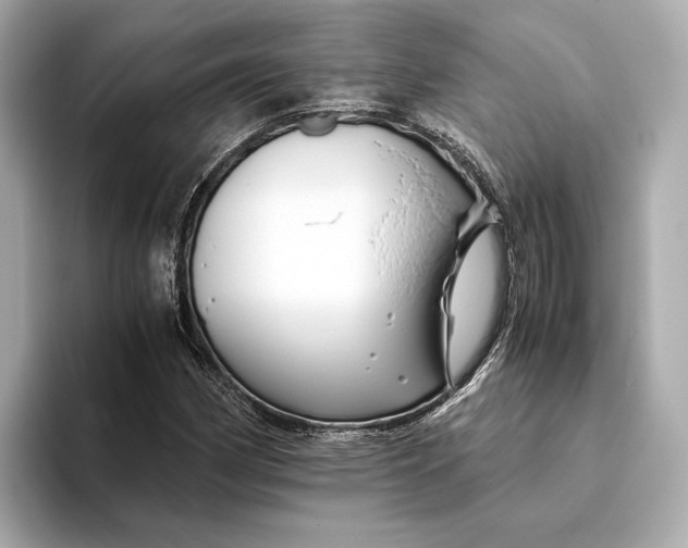 X0000093491162200711020946