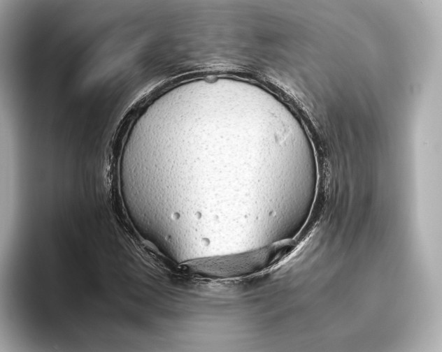 X0000093491163200711020946