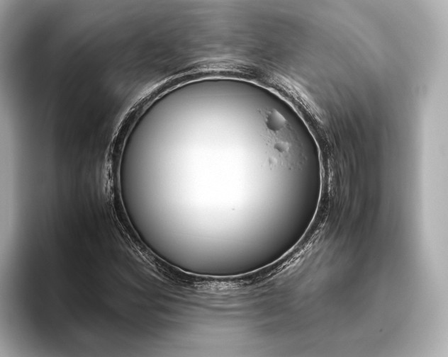 X0000093491164200711020946