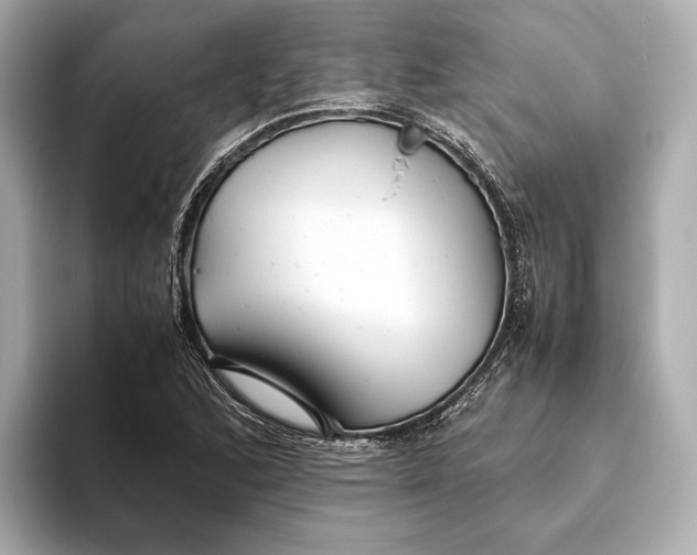 X0000093491168200711020946