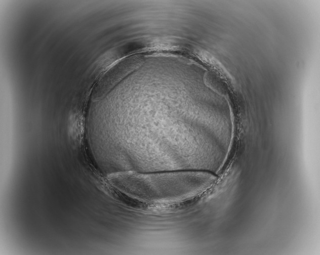 X0000093491169200711020946