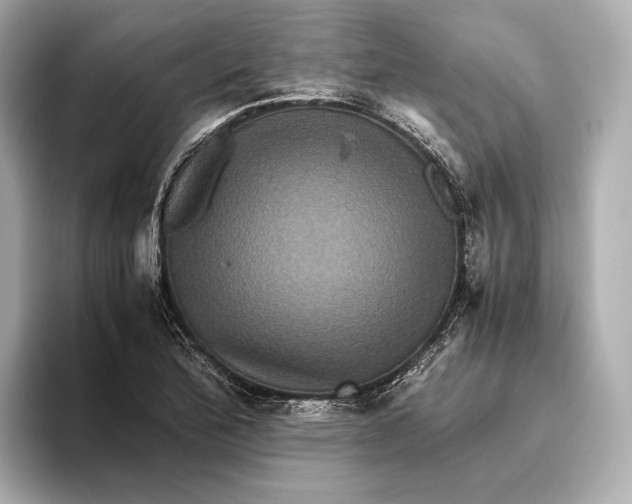 X0000093491172200711020946