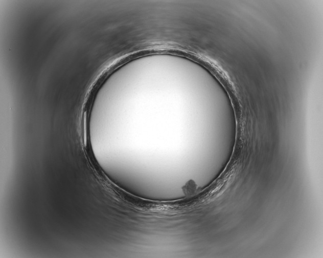 X0000093491175200711020946